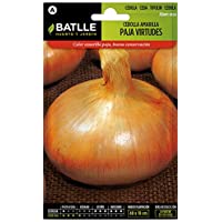 Semillas Hortícolas - Cebolla amarilla paja Virtudes - Batlle